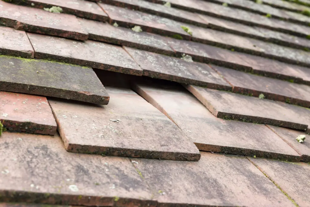 Early Signs Your Roof Needs Repairs In London