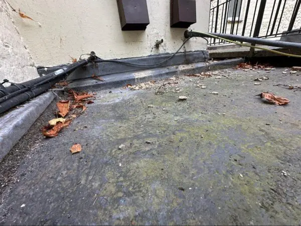 How Moss Affects London Roofs