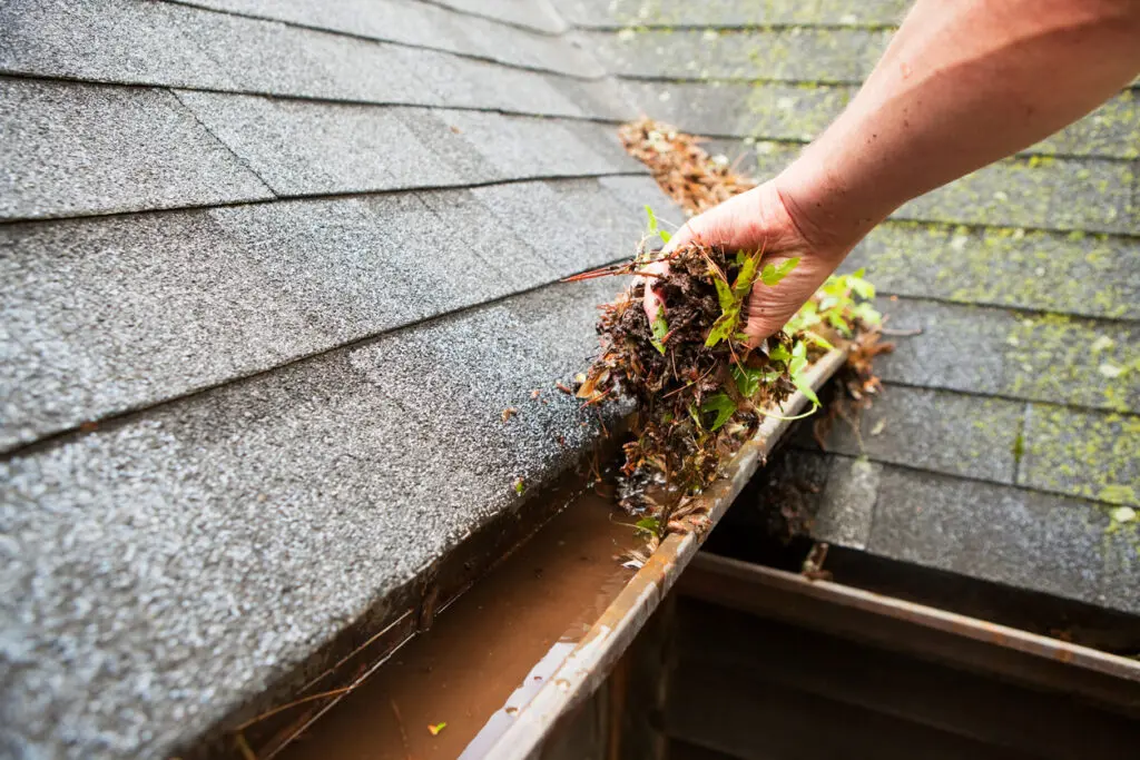 Why Building Maintenance Is Vital For Your Roof’s Health