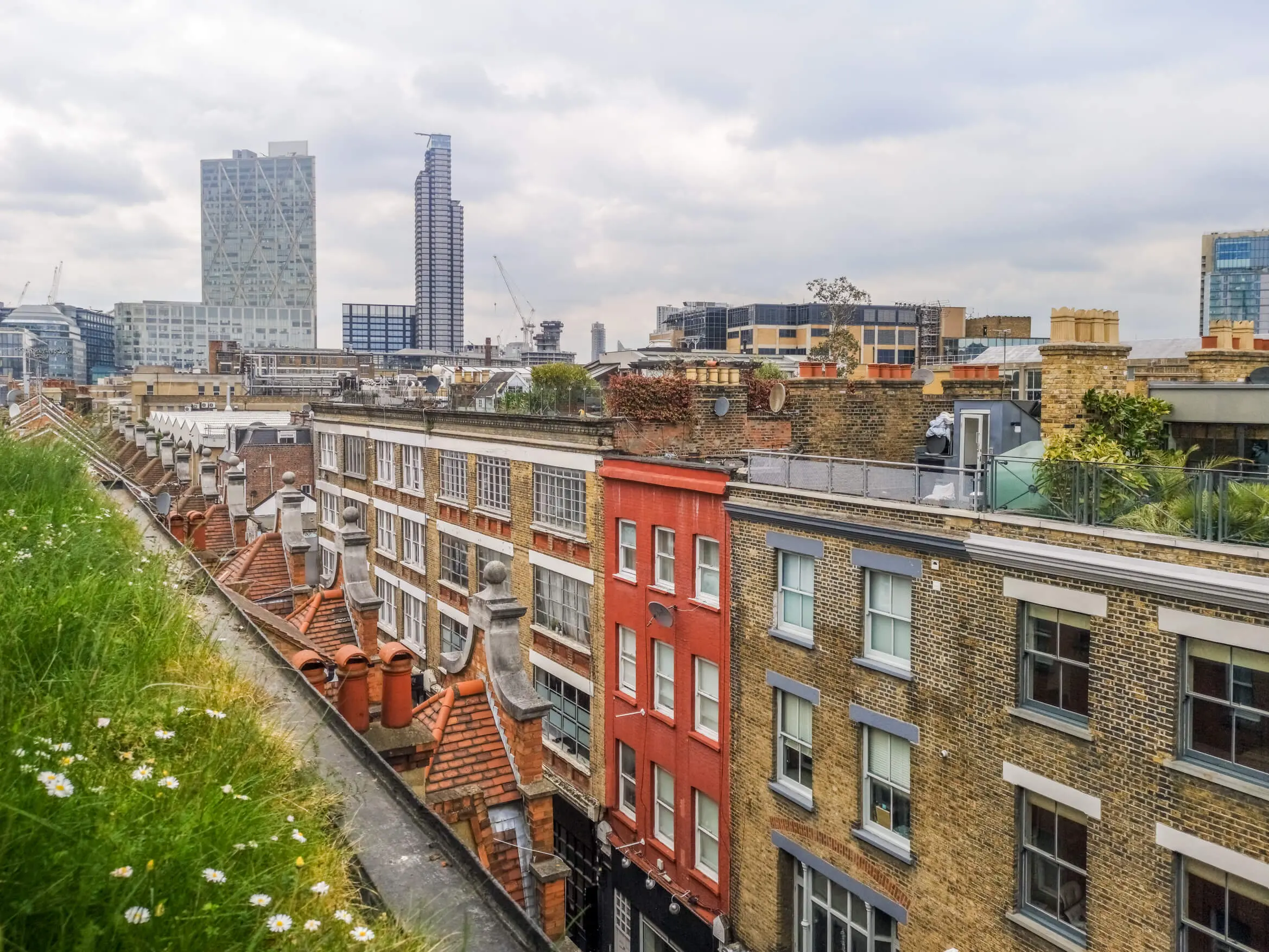 Green Flat Roofs in London: Turning Rooftops into Eco-Friendly Spaces | LDN Watertight Solutions Ltd Green Flat Roofs in London: Turning Rooftops into Eco-Friendly Spaces