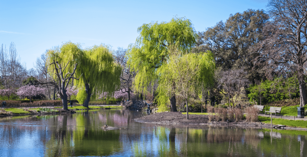 Roofers Regent’s Park, London