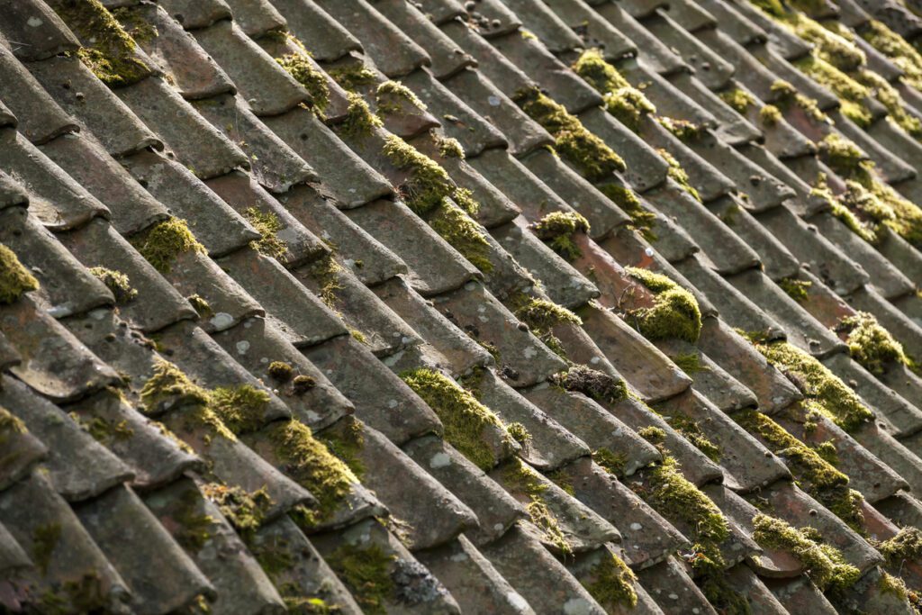 When Roofers London Should Be Called For Early Roof Problems