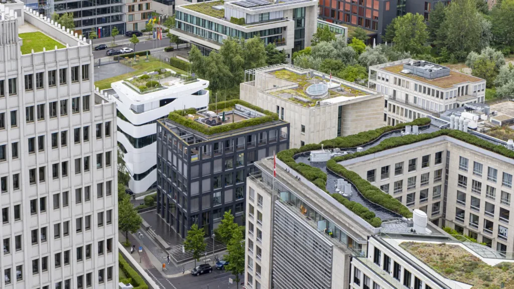 Green Flat Roofs in London: Turning Rooftops into Eco-Friendly Spaces