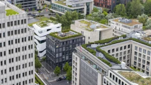 Green Flat Roofs in London: Turning Rooftops into Eco-Friendly Spaces