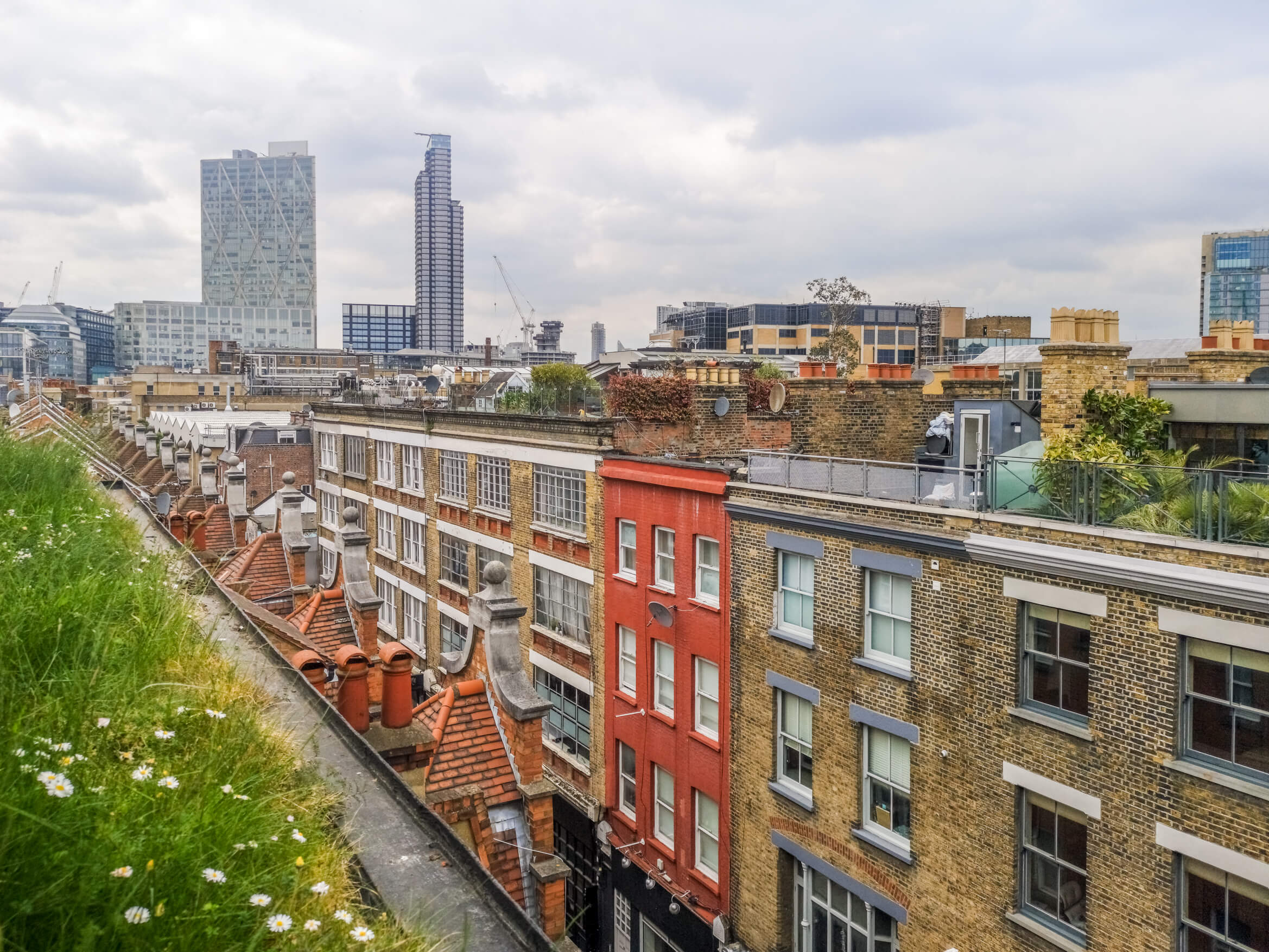Green Flat Roofs in London: Turning Rooftops into Eco-Friendly Spaces