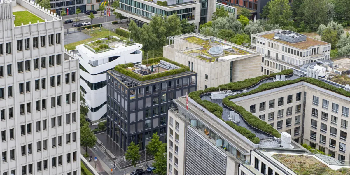 Green Flat Roofs in London: Turning Rooftops into Eco-Friendly Spaces