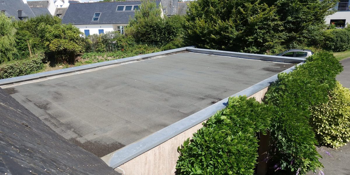 Flat Roof Maintenance Tips for London Property Owners