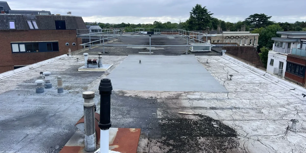 What Are the Signs You Need a New Roof?